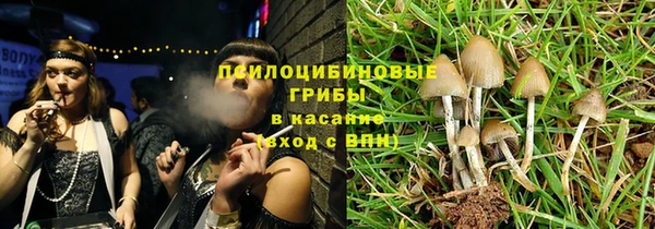 spice Богородицк